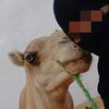 إهن وان أسن 