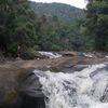 weasema