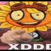 star.dropik