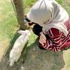 sulia_nn21