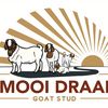 Mooi Draai Ranch