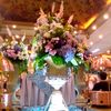 fia_official17