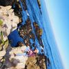 frankky_hernandez040222