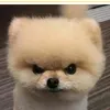 nicolljm9wz