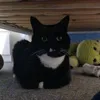 totallynot_arlo5