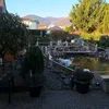 alex_mueller031077