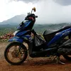 ngek_bred