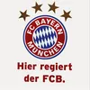 aschillert