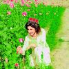 salmankhan445689