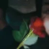 2.soo0