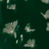 estuary_moho
