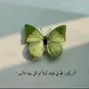 pq_ap8