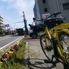 bikeshjogi4