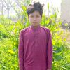 muhammadqasim8755