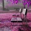 tulipjl8
