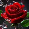 leo_wd10