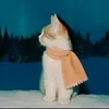 gulli_0984