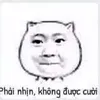 an.phng611