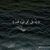 toka.mohamed774