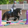 equine.deanna