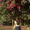 soniyathebe3
