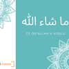 mohamedsaidbarkati