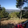 nicolaschirossel