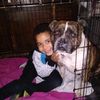charlierobison_2011