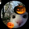 fp_maty2115