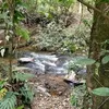 valdireneveiga1