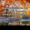 silviasandoval028