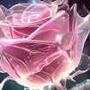 user5851271366267