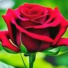 user7070761668748