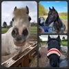 k.i.m_pony.herde