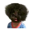 bashy900