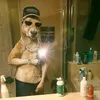 rocco.444333