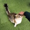 kakamaka_4142