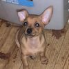 lola_loves_everything