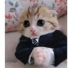 miau.migo