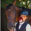 horse.harley