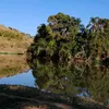 lucianorocha0582