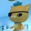 kwazii._.cat