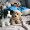 babysniperwolf2008