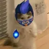 dc_janko7116