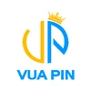 Vua Pin