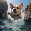 corgiinthehouse