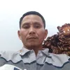toantran260377