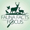 faunafactsfocus011