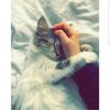 b3lal.__