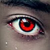 haseeb30445